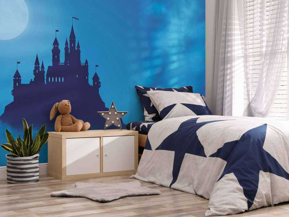 Castle with moonlight