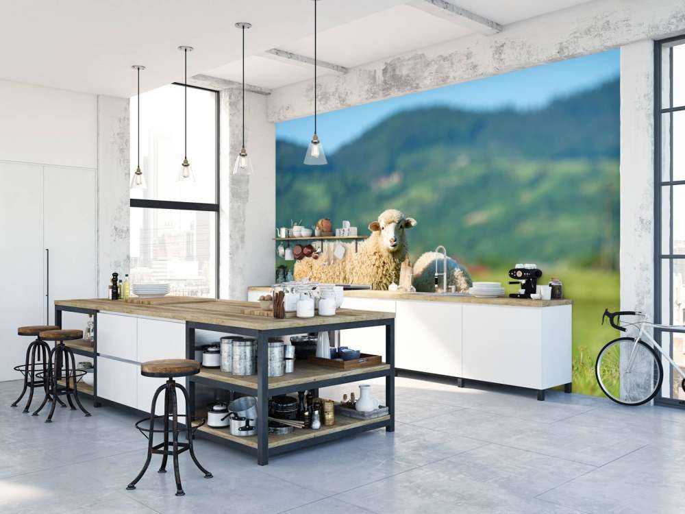 Two sheep in the meadow