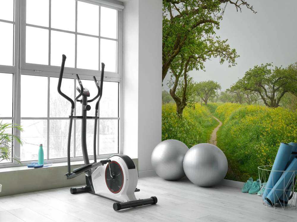 Path through hills with yellow flowers