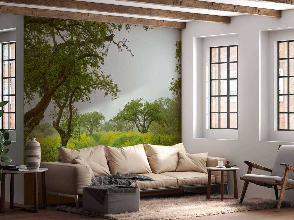 Path through hills with yellow flowers