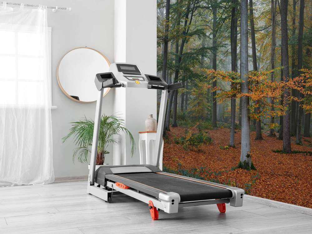 Autumn colours in misty forest