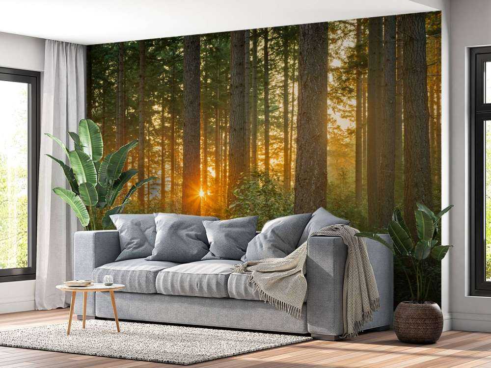 Sunbeams in a coniferous forest