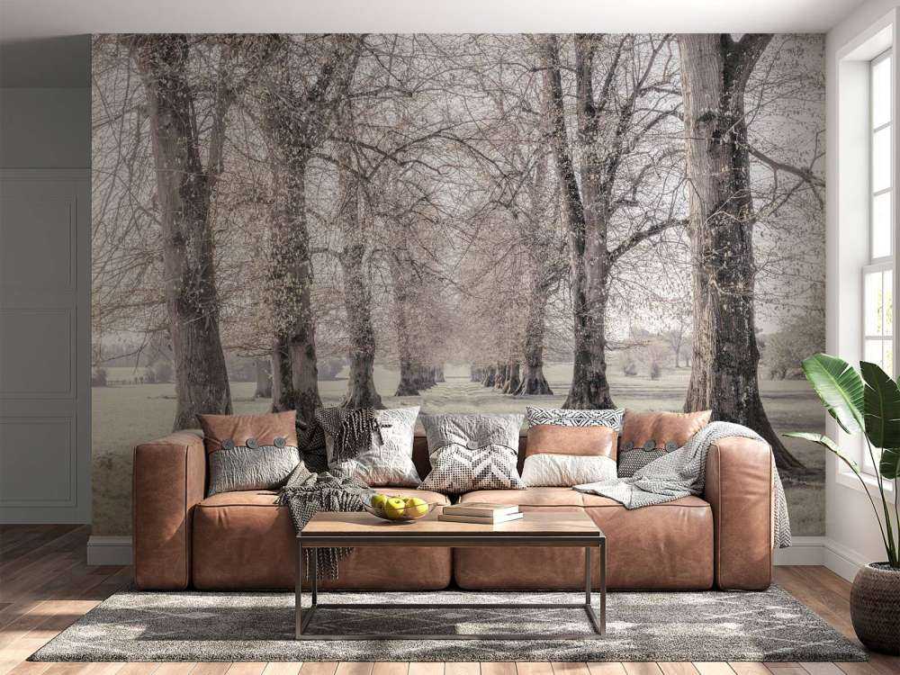 Tire tracks between the trees