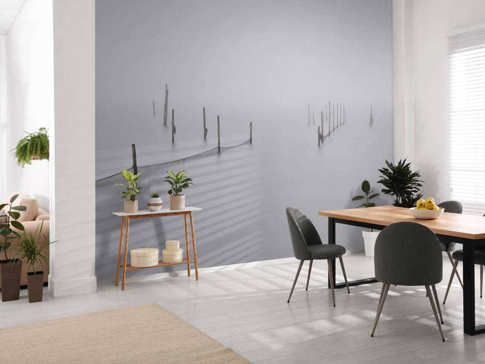 Fishing nets in the fog