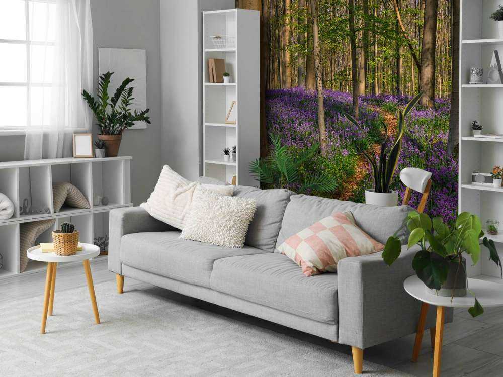 Path through a forest with hyacinths