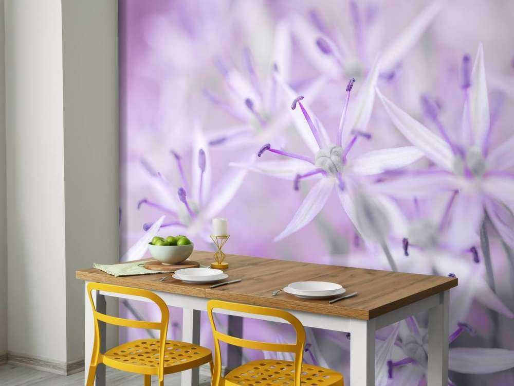 Close-up allium flowers