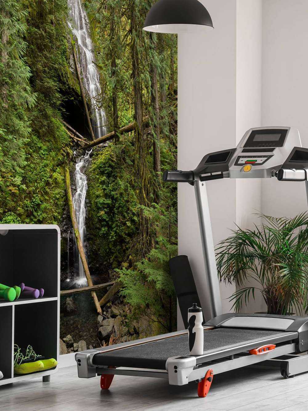 Waterfall with fallen trees