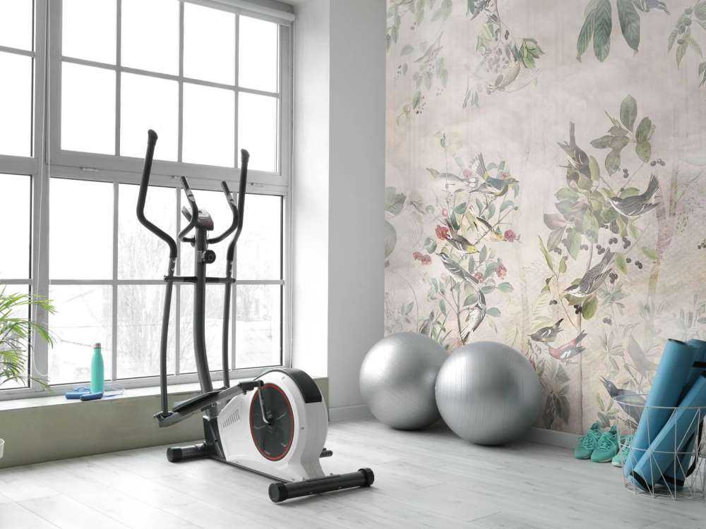 Forest Birds in Harmony