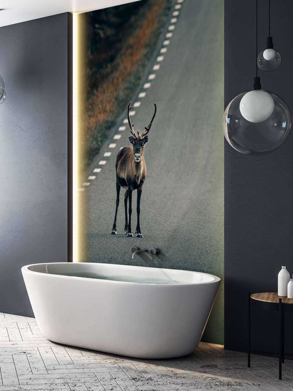 Reindeer on the road