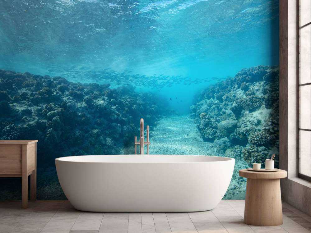 Underwater world with coral