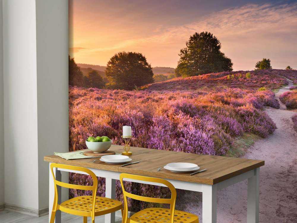 Pad met veel bloemen