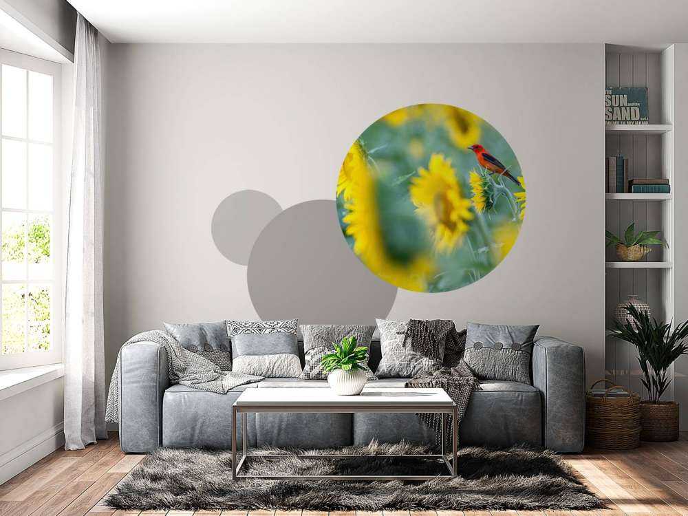 Sunflower field with red bird