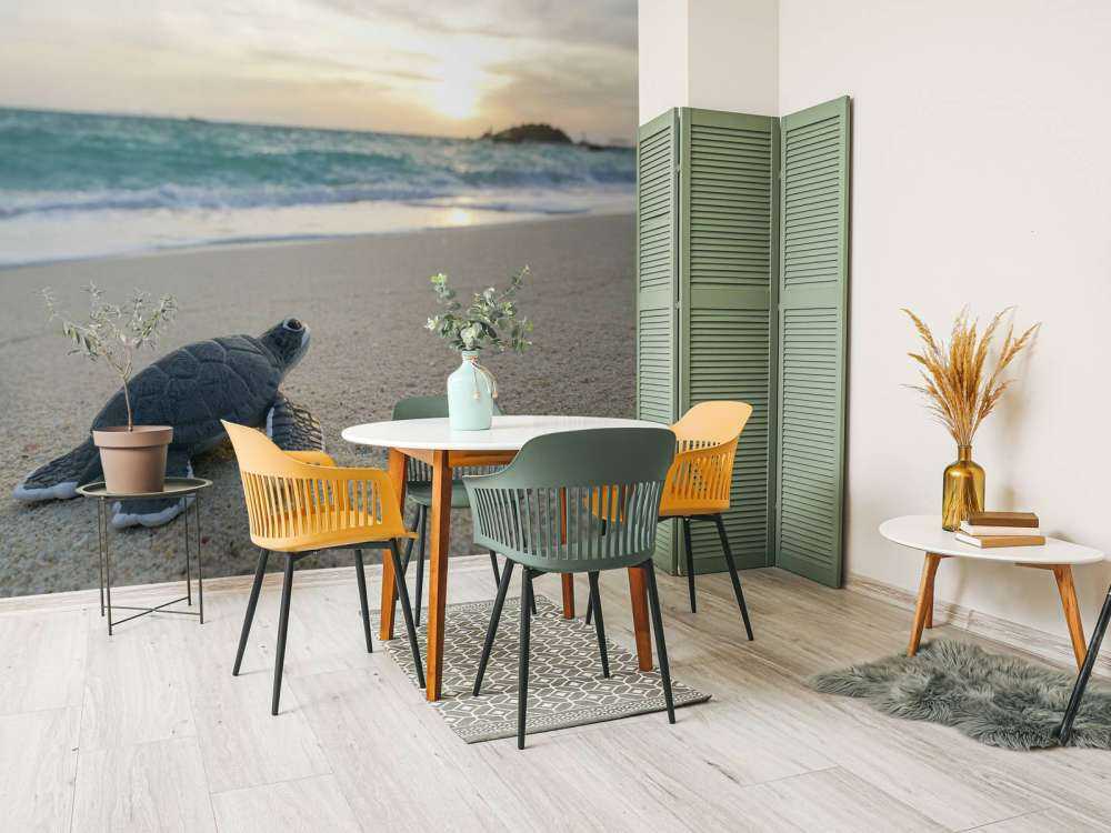 Kleine schildpad op het strand