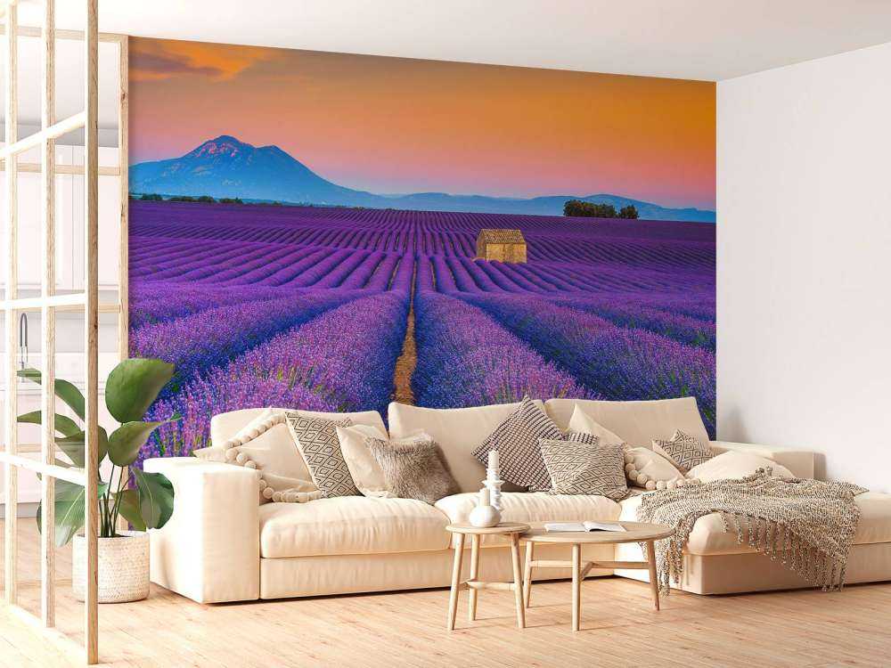 Prachtig bloemenveld van lavendel