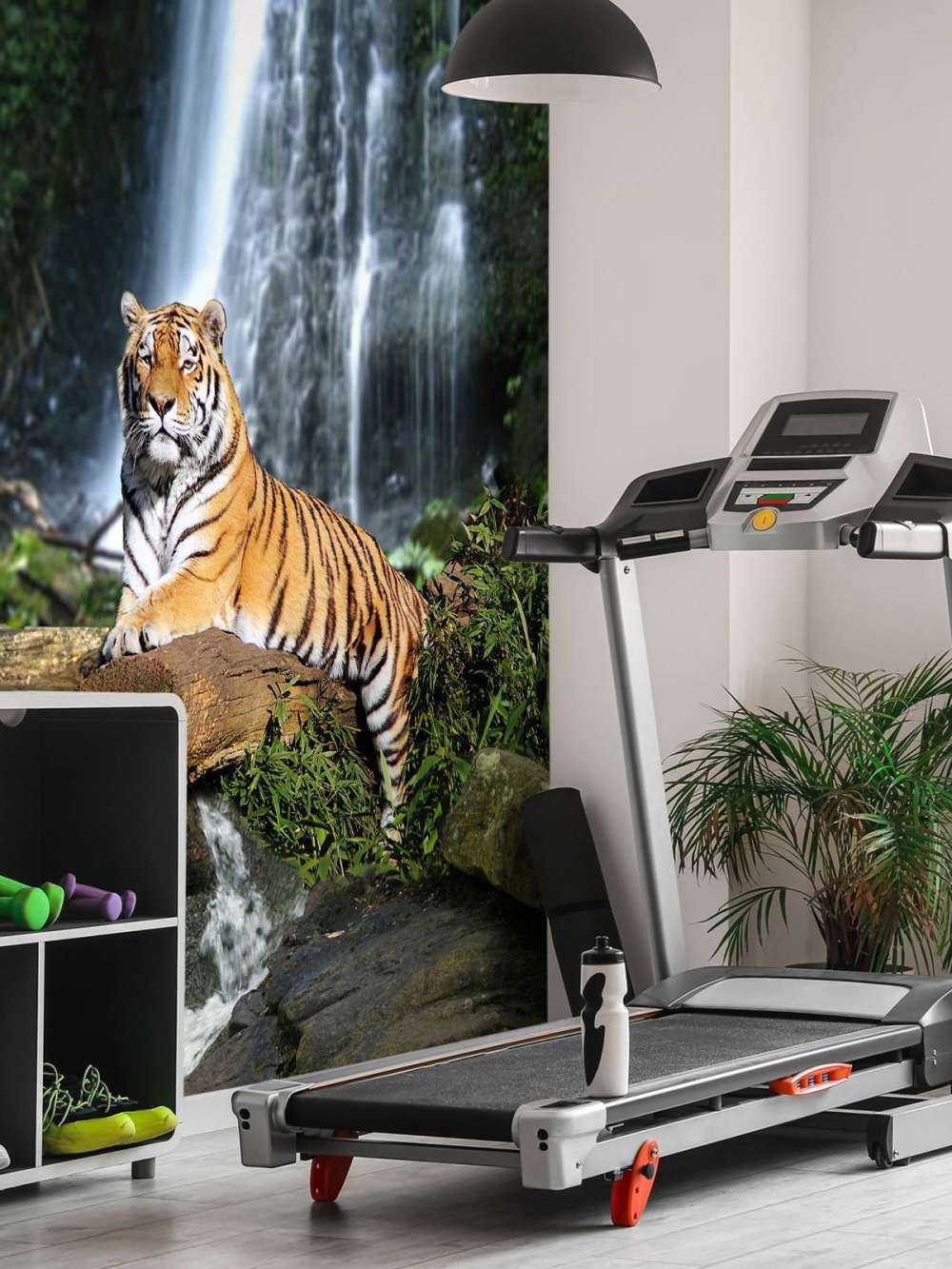 Tiger in the jungle