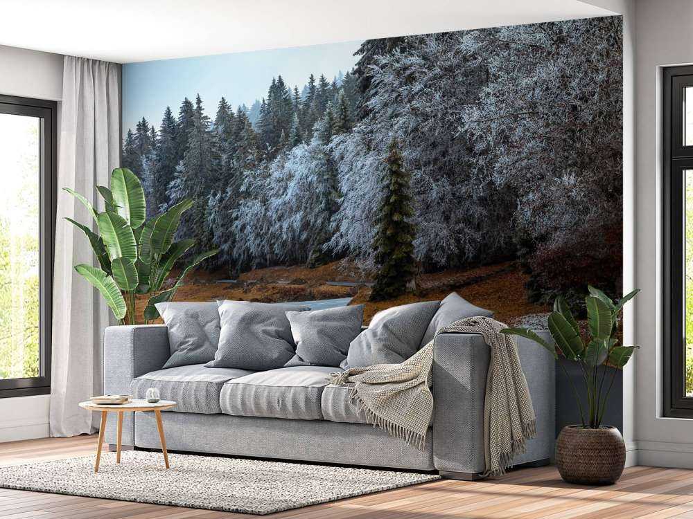 The road and the frozen trees