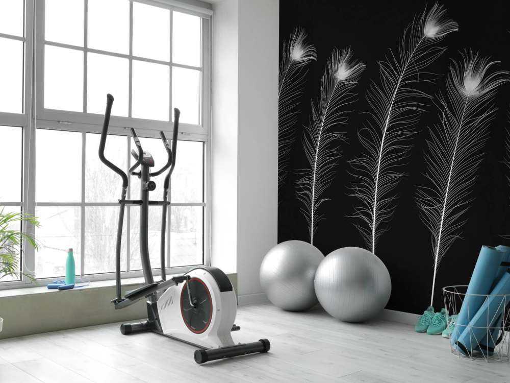 White peacock feathers