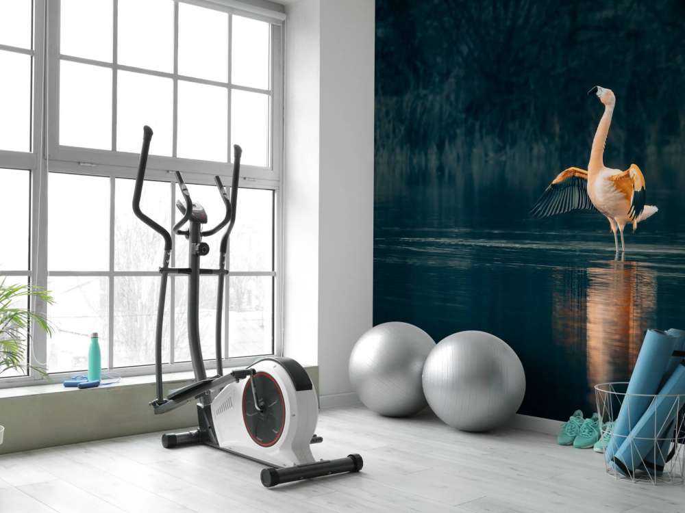 Flamingo in abandoned lake