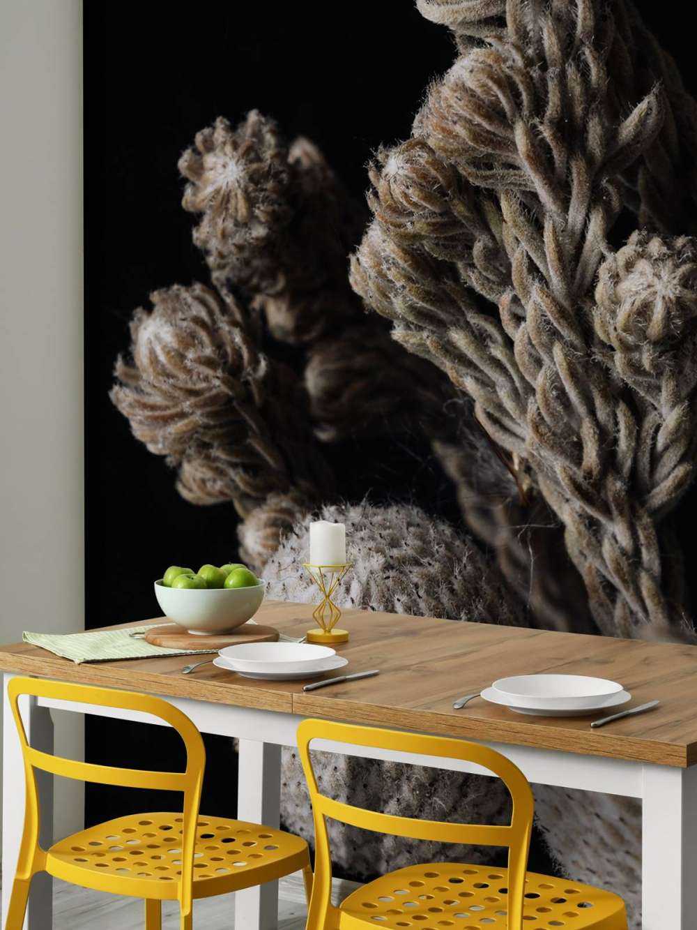 Close-up planten op zwart achtergrond