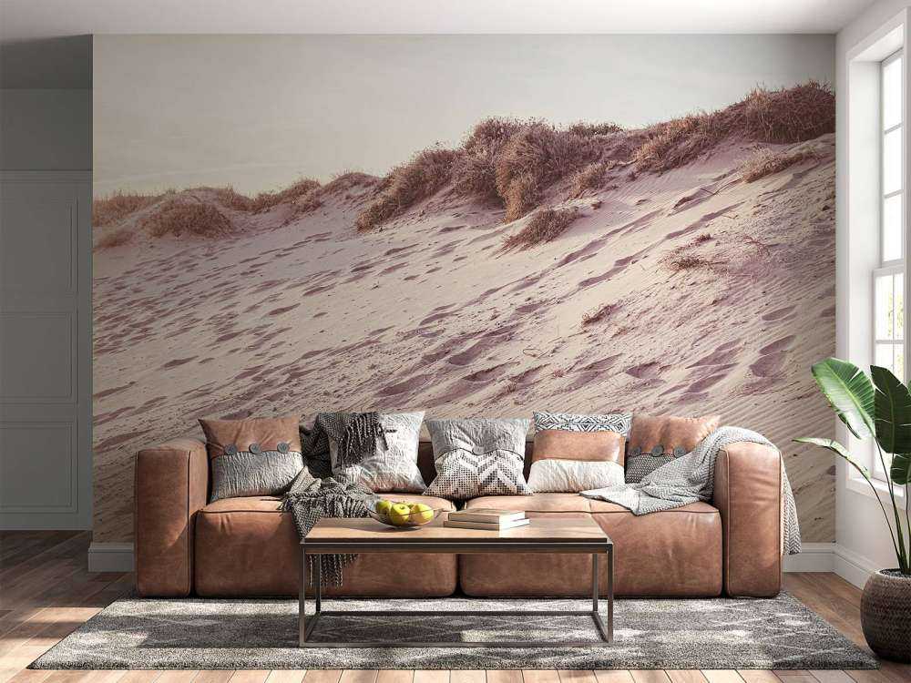 Beach dunes