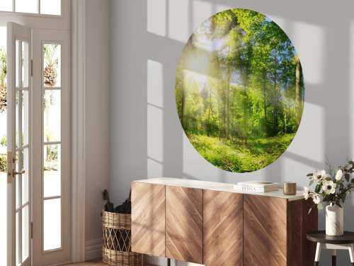 Forest with sunbeams