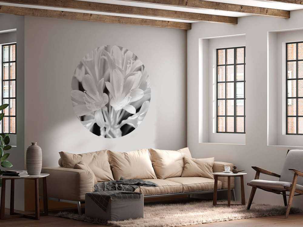 Flowers in bloom, black and white