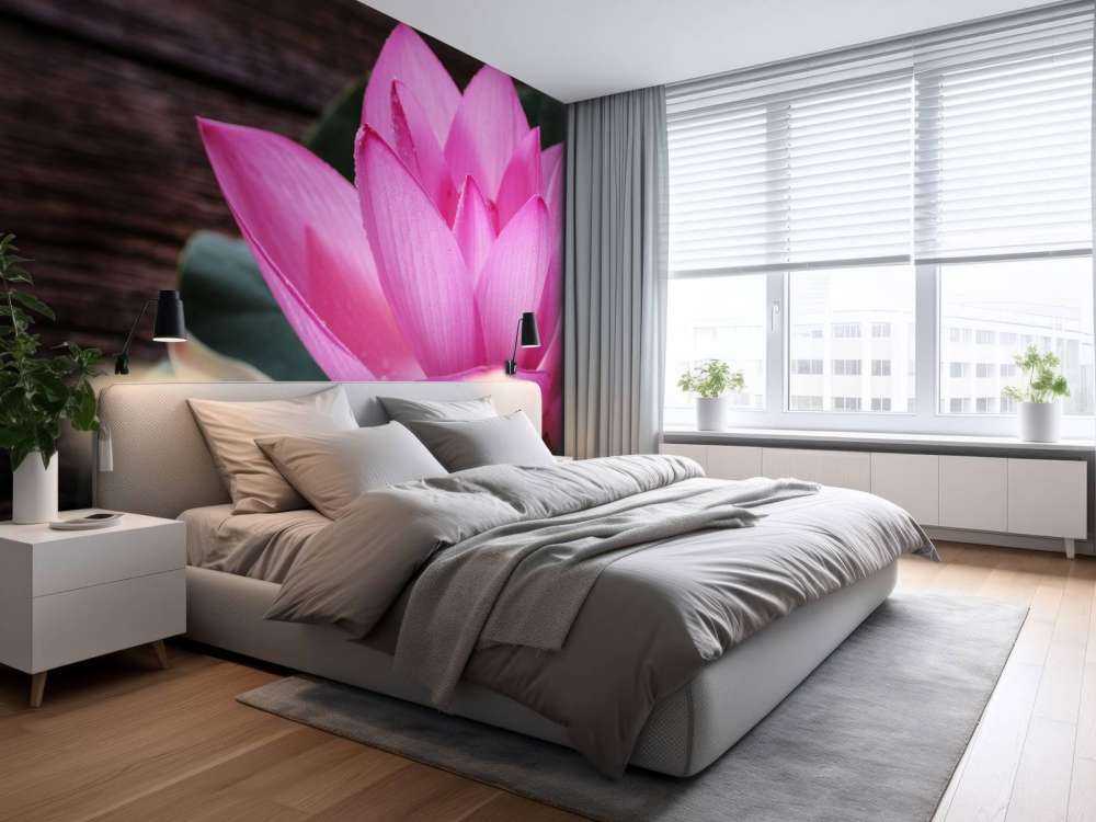 Close-up pink lotus