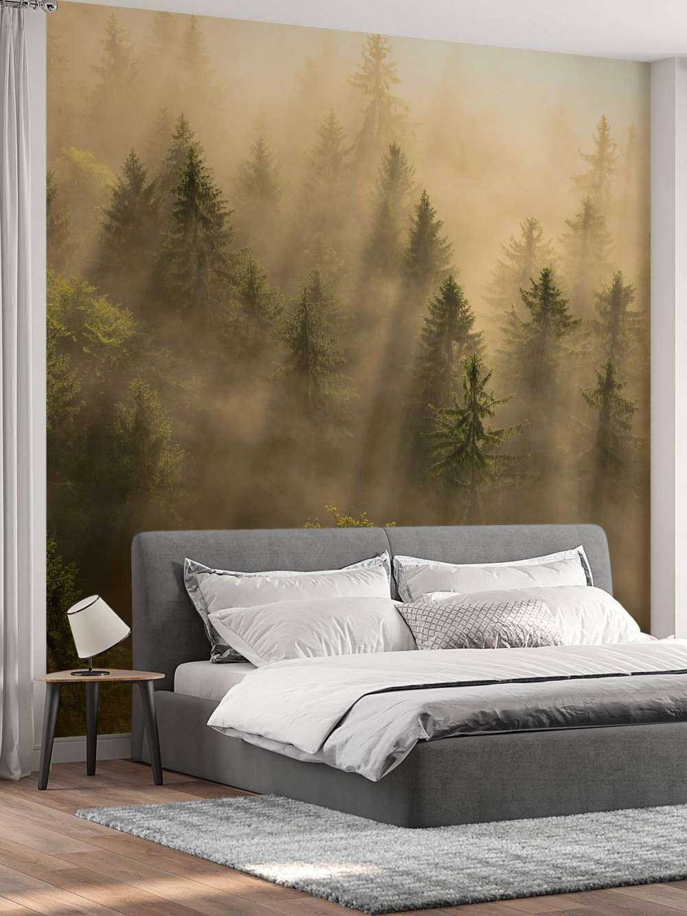 Foggy pine trees