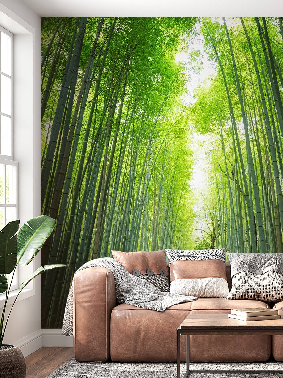 Path through the bamboo
