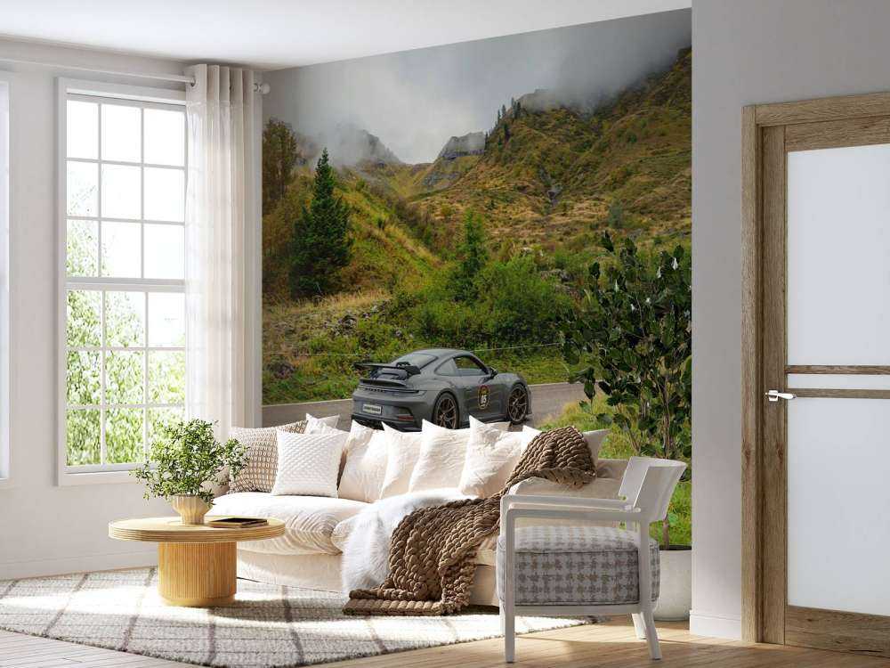 Sports car in mountain mist