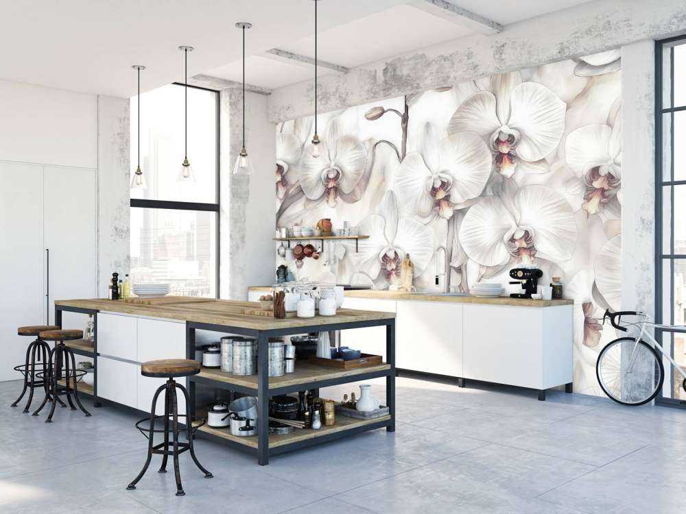 Orchids Paradise Orange