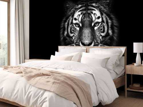 Dark Tiger