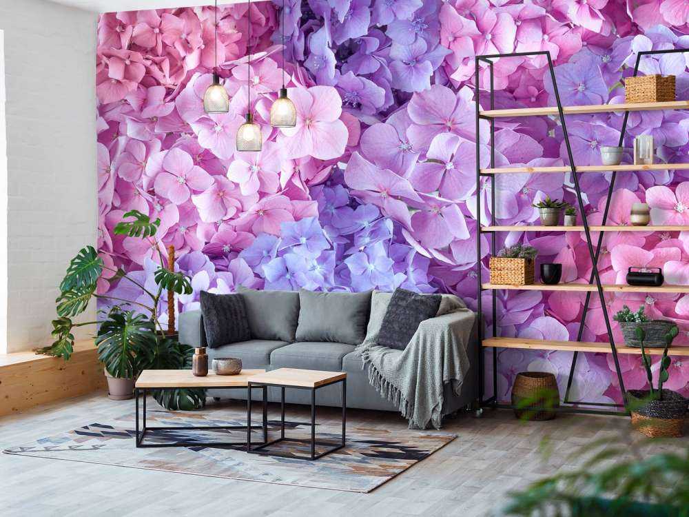 Colorful hydrangeas