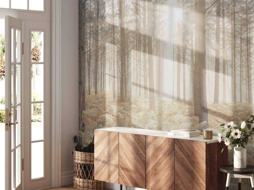 Sun rays in the cold forest