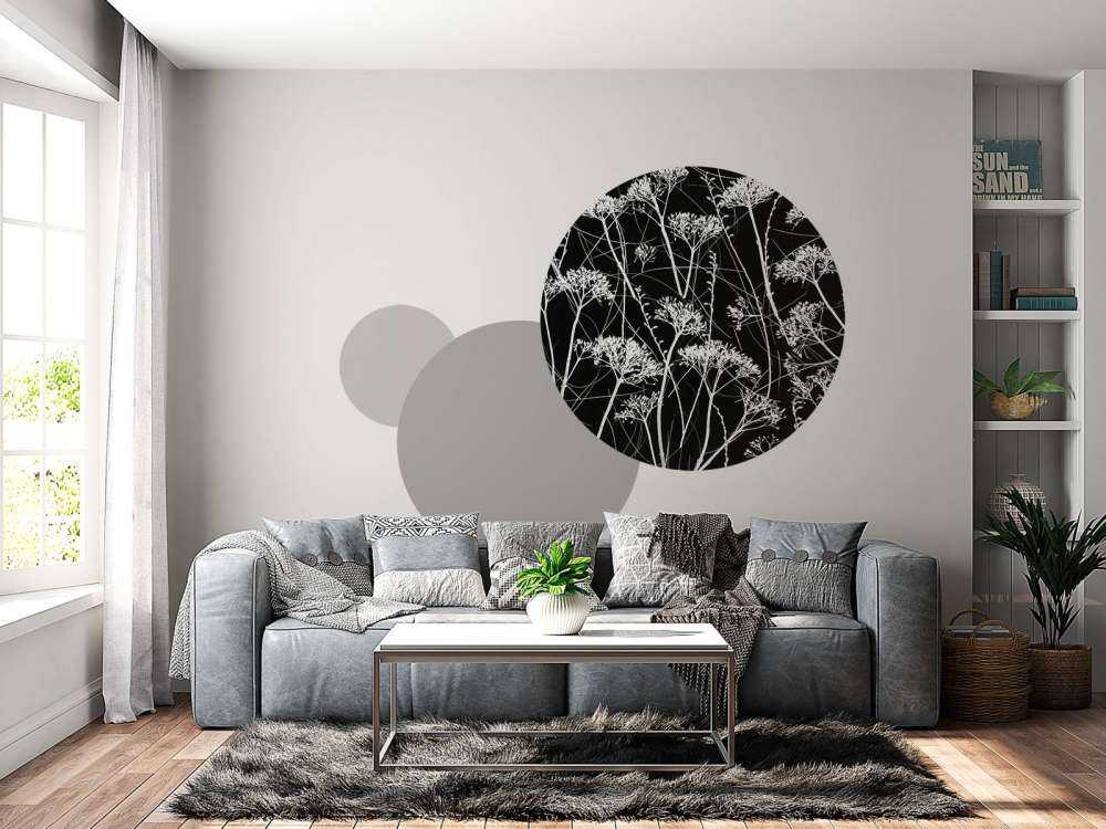 Silhouette of dried plants