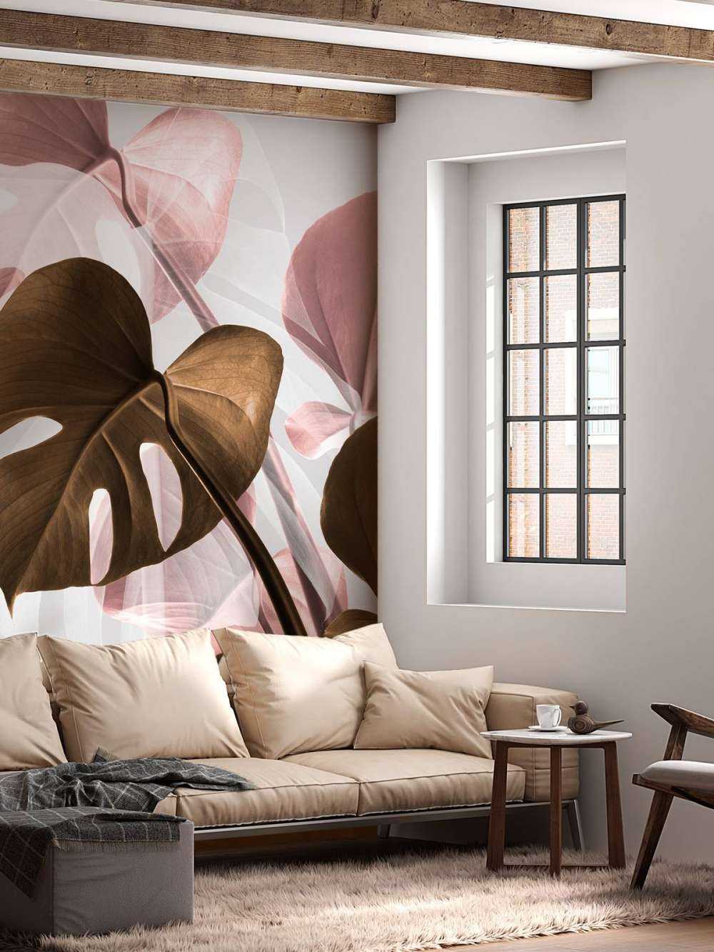 Monstera Creative 11