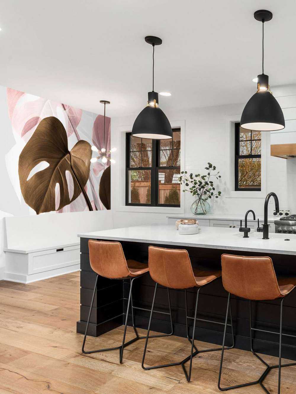 Monstera Creative 11