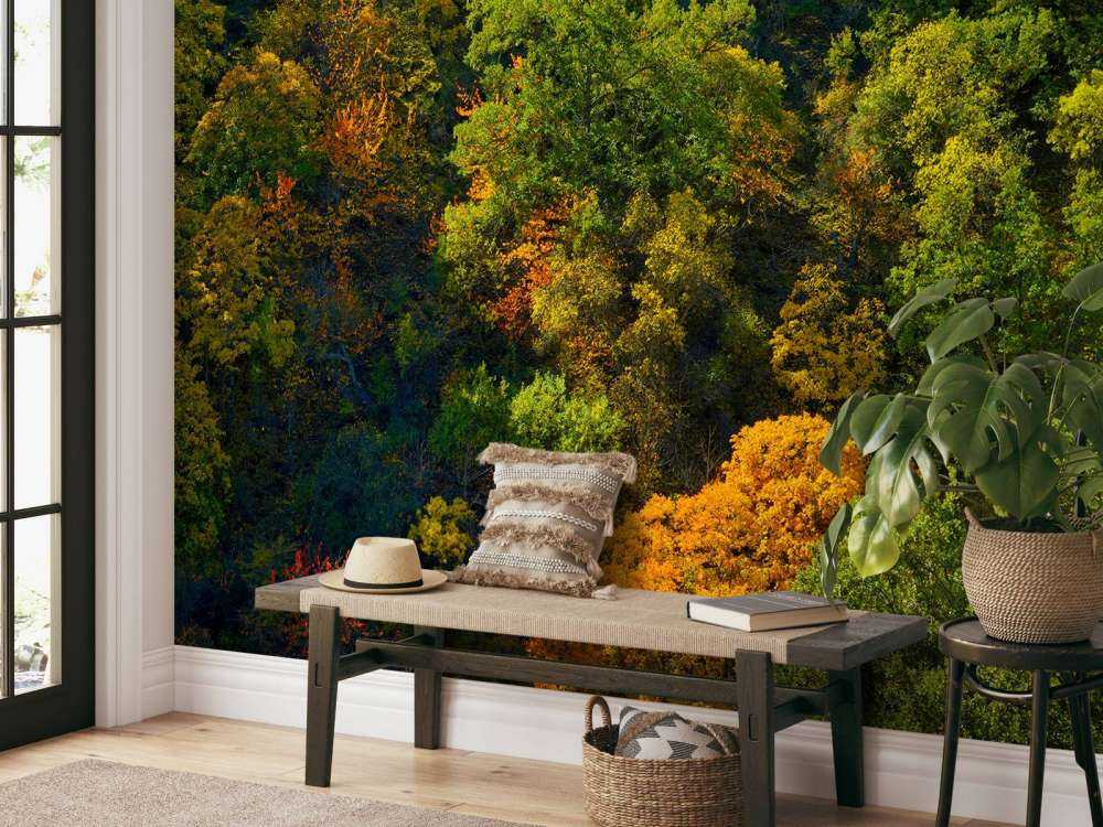 Bomen met herfstkleuren