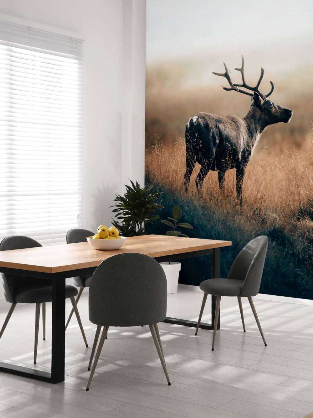 Reindeer in the high grass