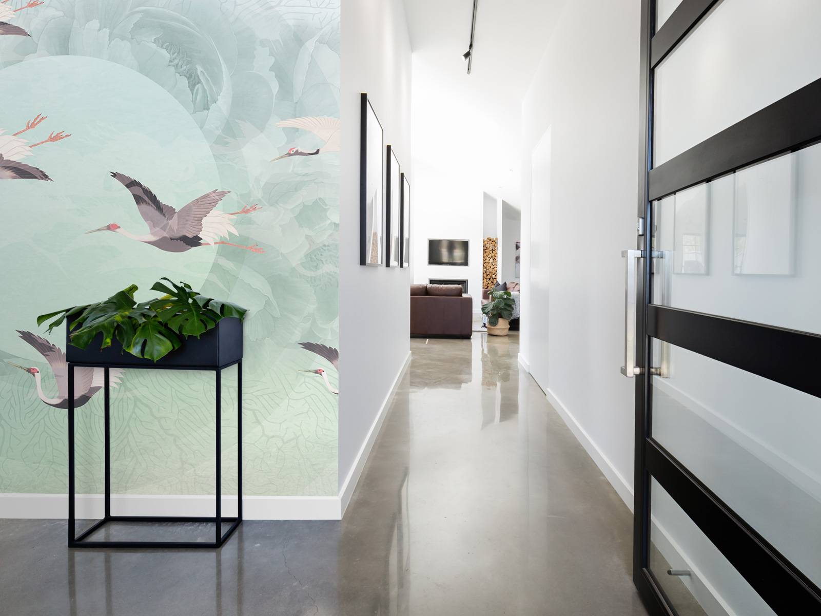 Serenity 5