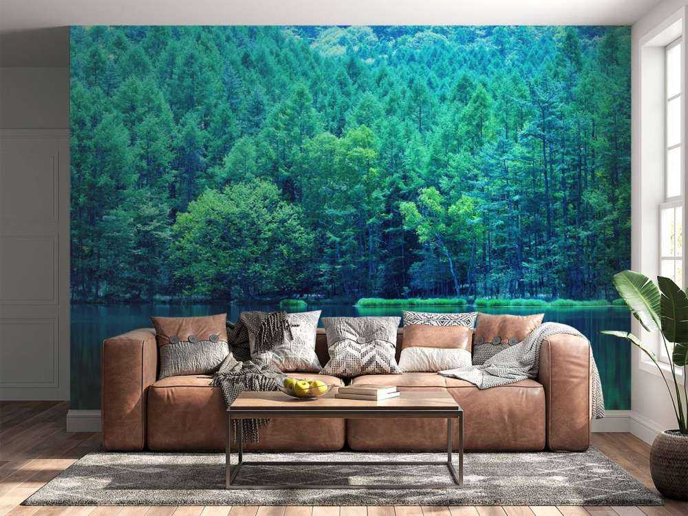 Lake in the green forest