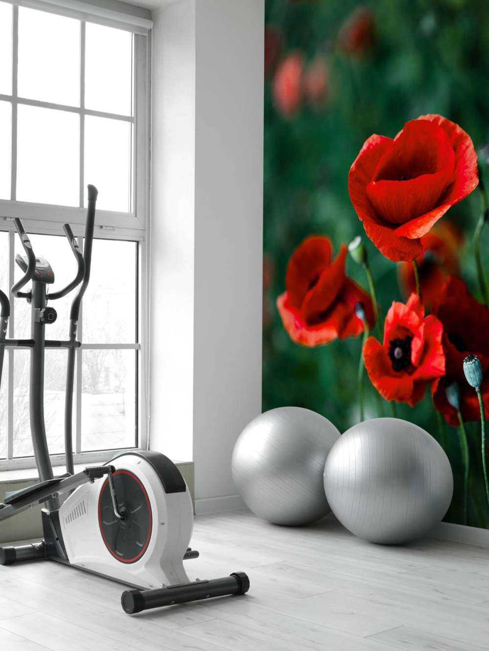 Poppies and grass