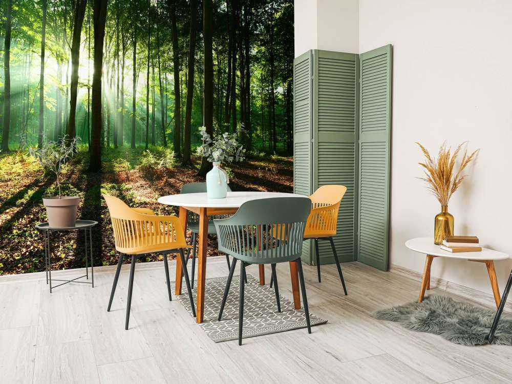 A morning in the forest