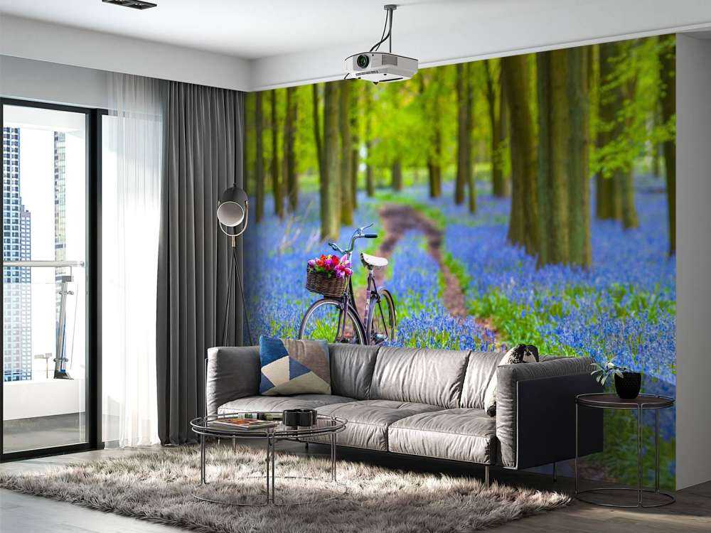 Bicycle in the forest