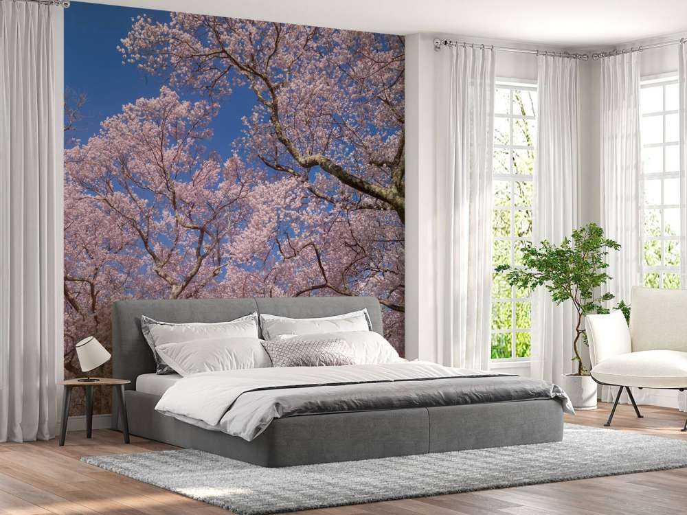 Blossoms with blue sky