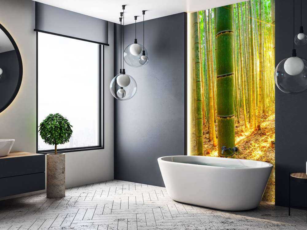 Bamboo forest at sunrise