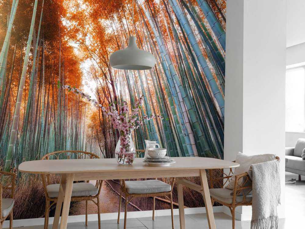 Autumn bamboo forest