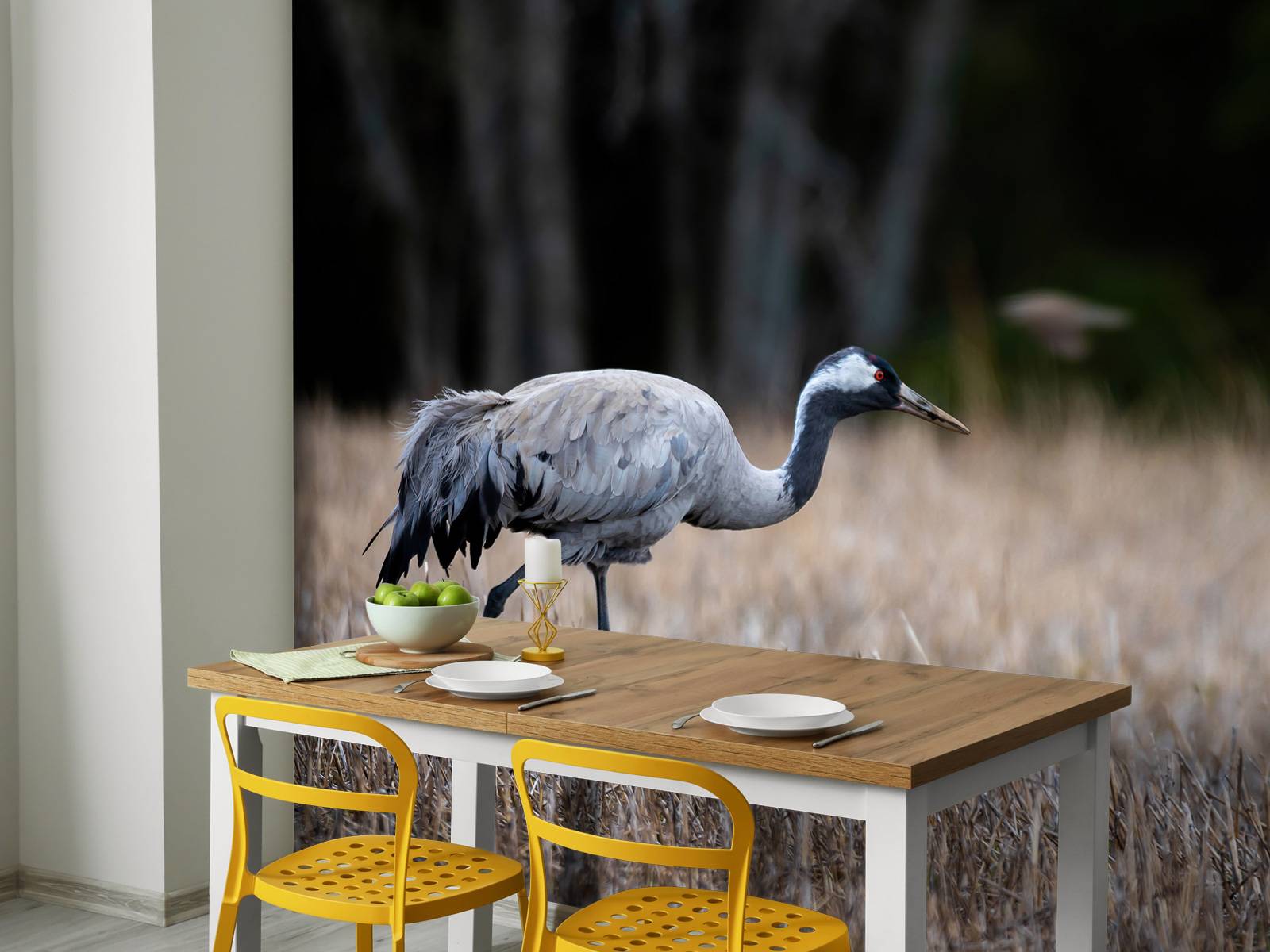 Lopende kraanvogel