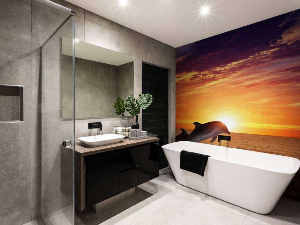 Dolphins in evening sun