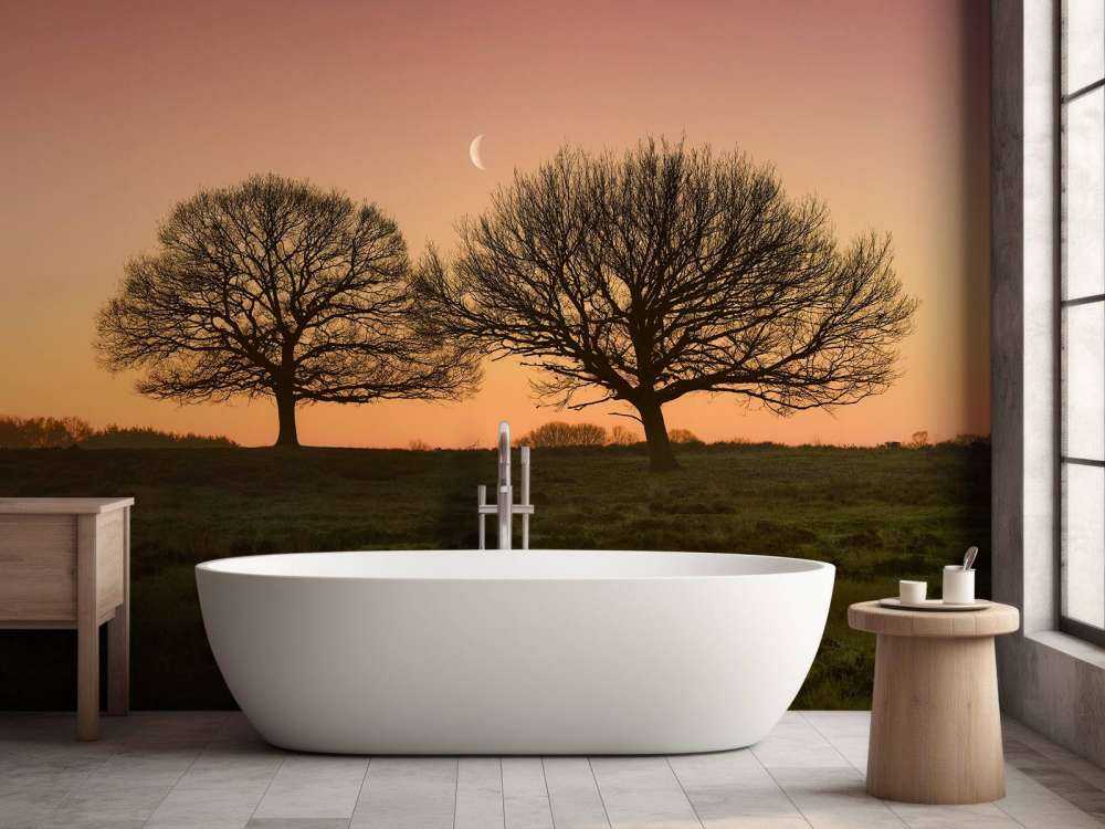 Moon between the trees